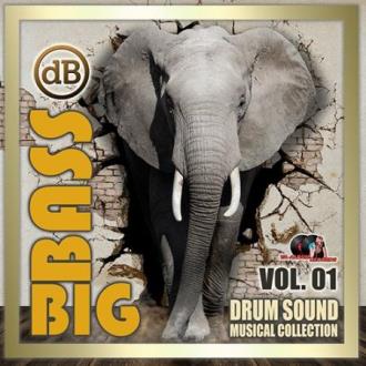 Big Bass: Drum Sound Musical Collection Vol.01 (2020) Скачать файл с T