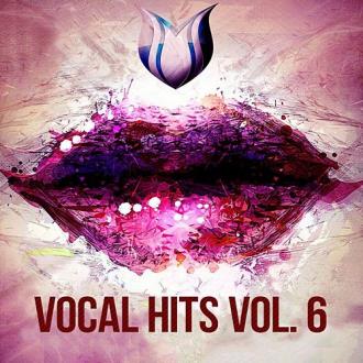 Vocal Hits Vol. 6 (2020) Скачать файл с Turbobit | Rapidgator