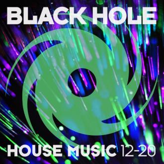 Black Hole House Music 12-20 (2020) Скачать файл с Turbobit | Rapidgat