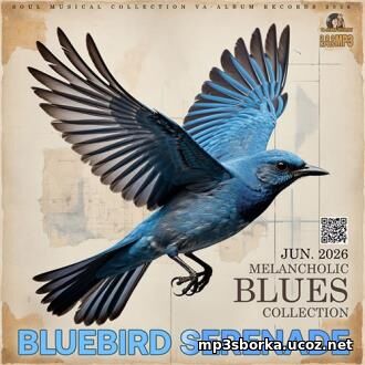 Bluebird S...