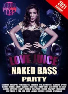 VA - Naked Bass Party (2021) Скачать файл с Turbobit | Rapidgator